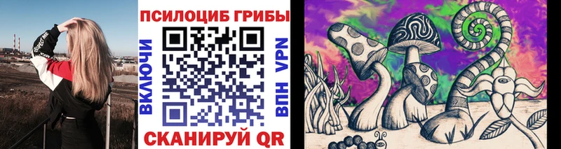 Купить  Болхов  Галлюциногенные грибы ЛСД 